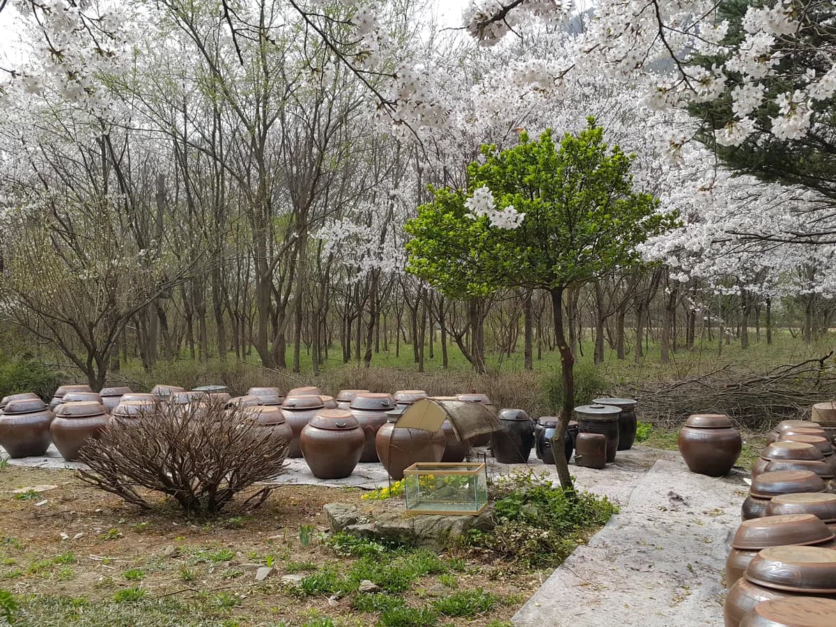 삼덕요양복지센터 이미지 6