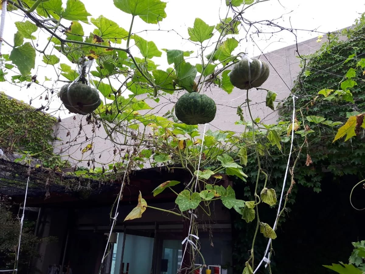 기흥해피주야간보호센터 이미지 5