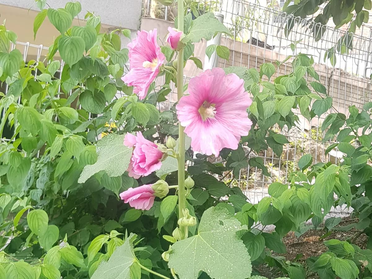 어울림노인주간보호센터 이미지 3