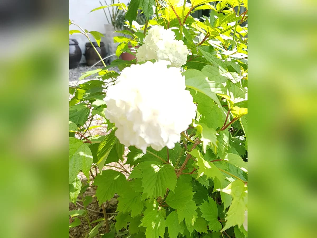 어울림노인주간보호센터 이미지 7