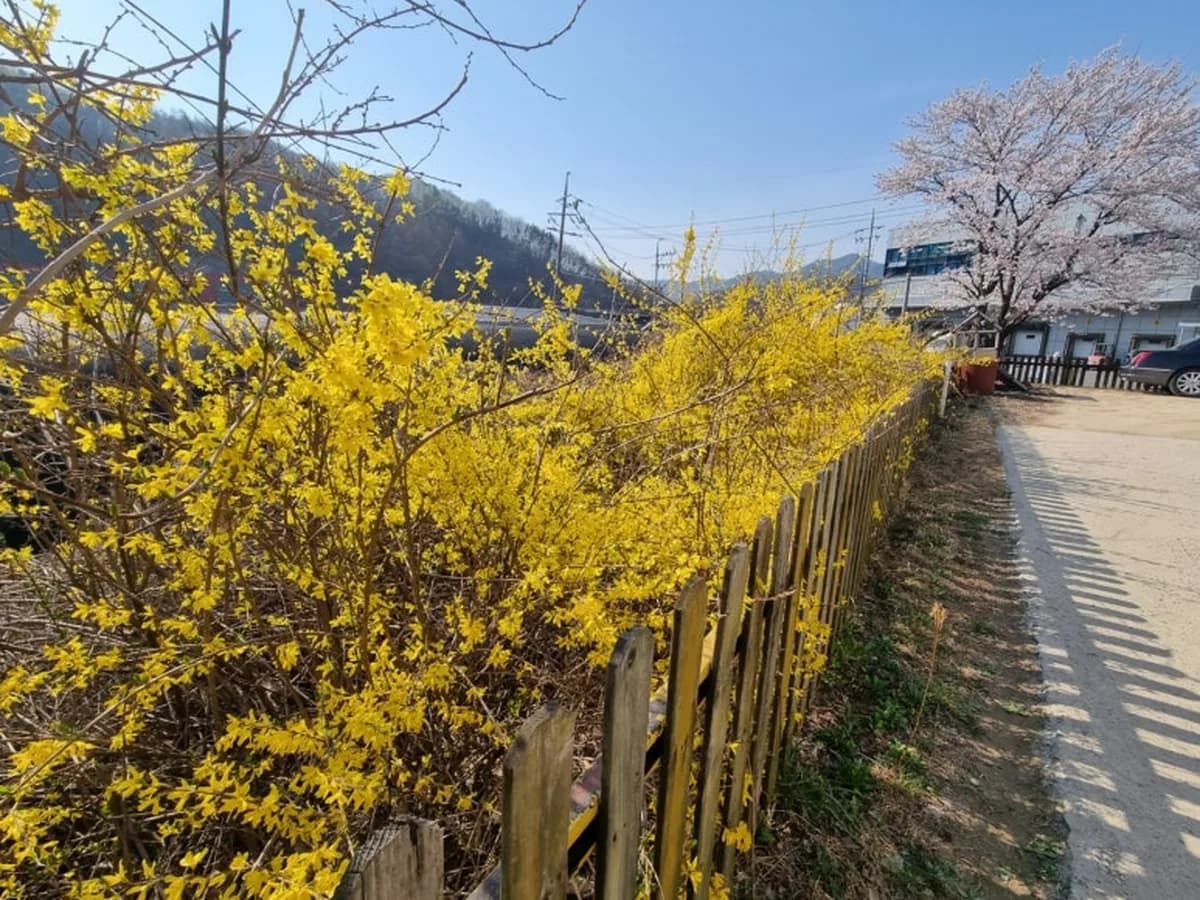 참좋은재가복지센터 이미지 4