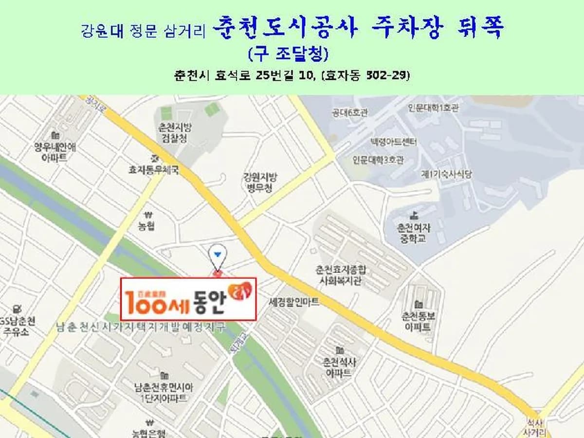 100세동안 춘천점 이미지 8