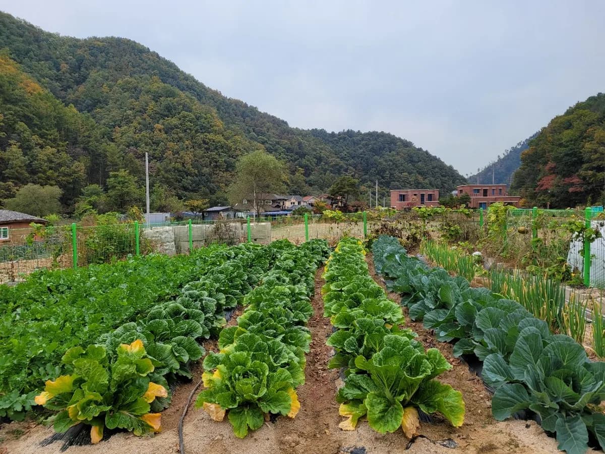 스마일 재가노인복지센터 이미지 5