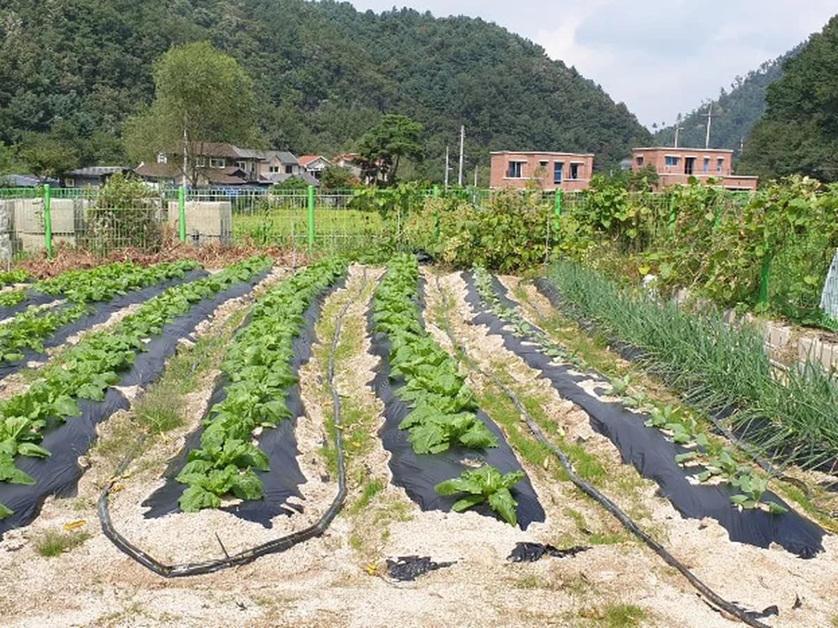 스마일 재가노인복지센터 이미지 6