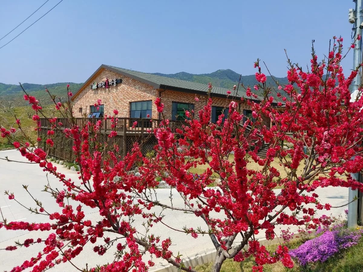 제천 효마을 노인복지센터 이미지 6