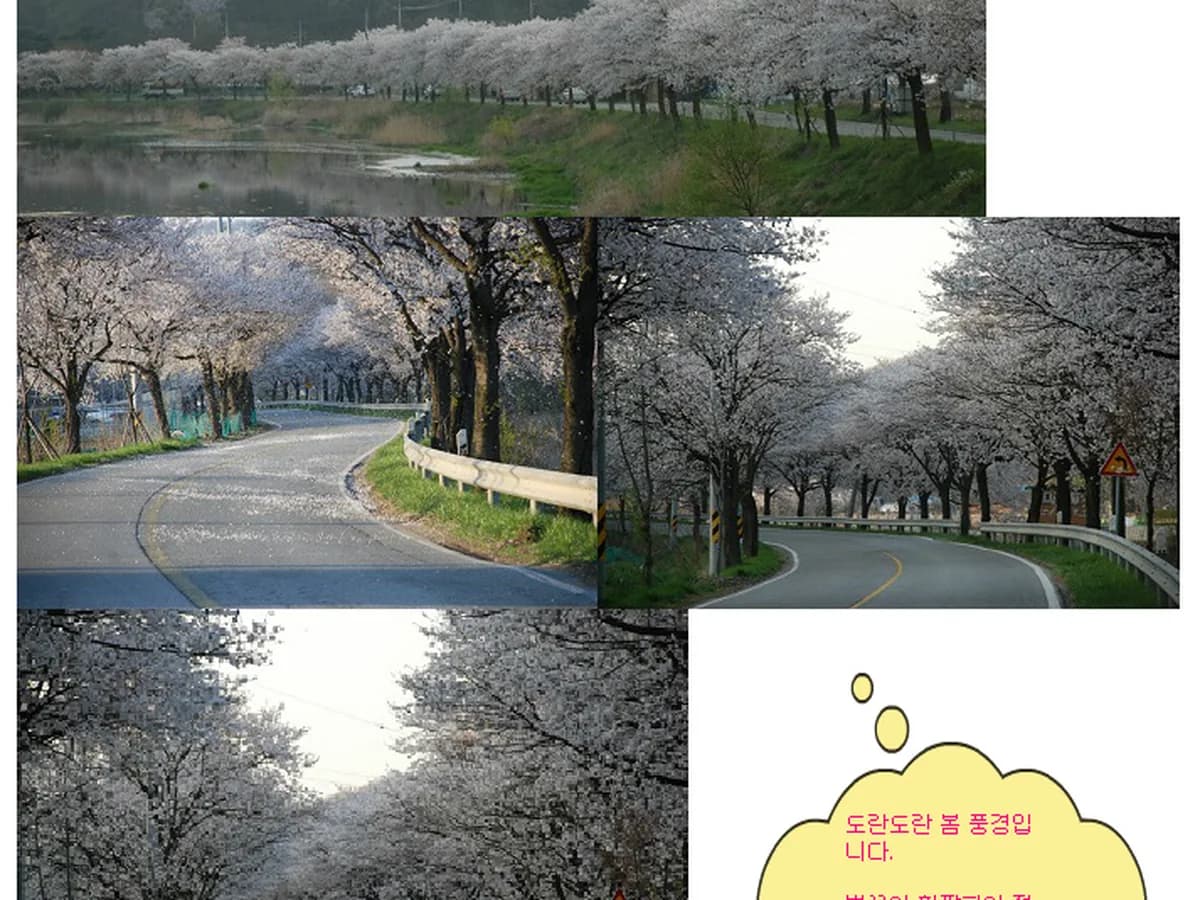 도란도란노인복지센터 이미지 3