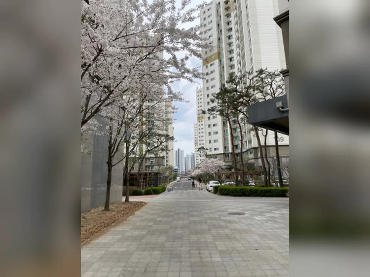 정성방문요양센터 이미지 3