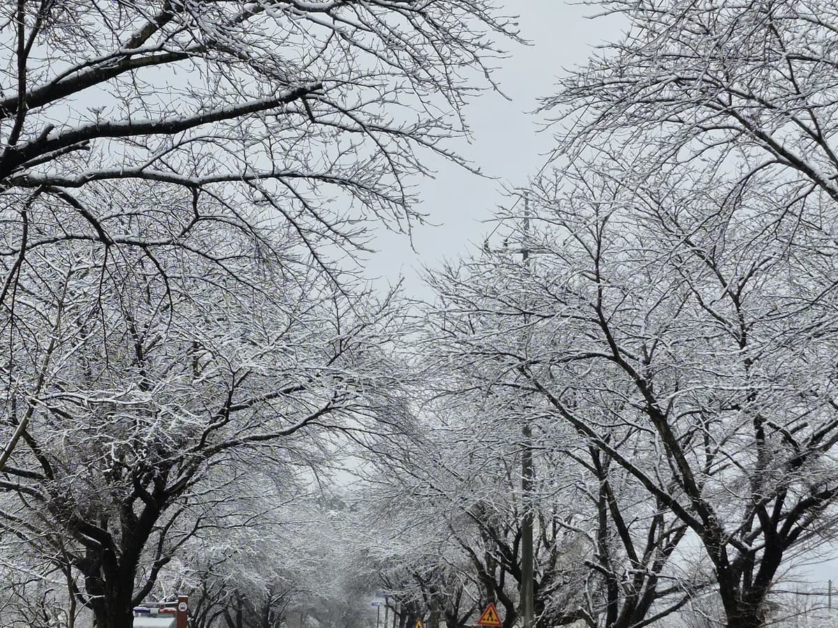 서산더부러노인복지센터 이미지 4