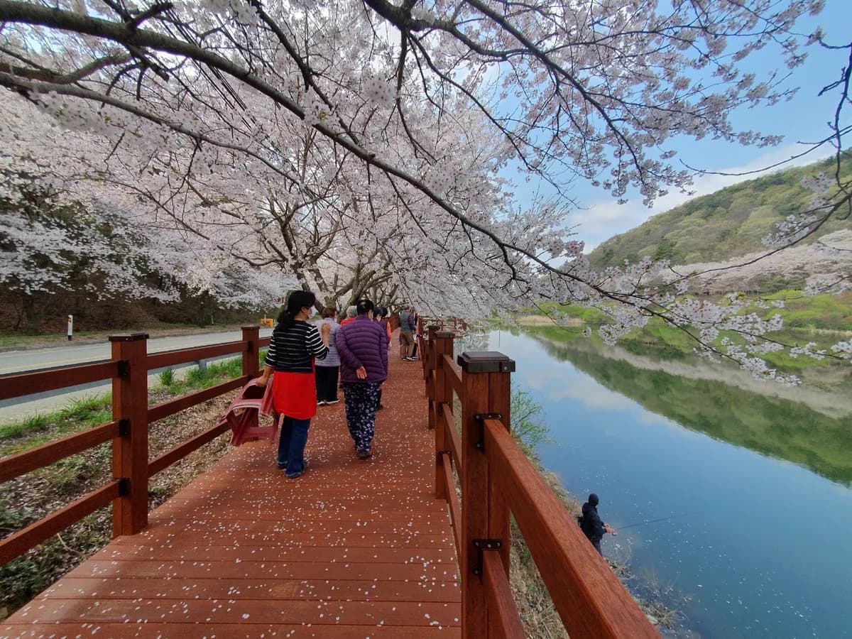 서산더부러노인복지센터 이미지 5