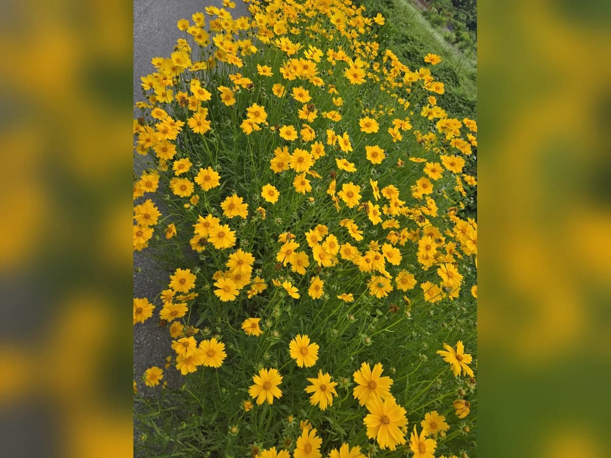고대항곡요양센터 이미지 2