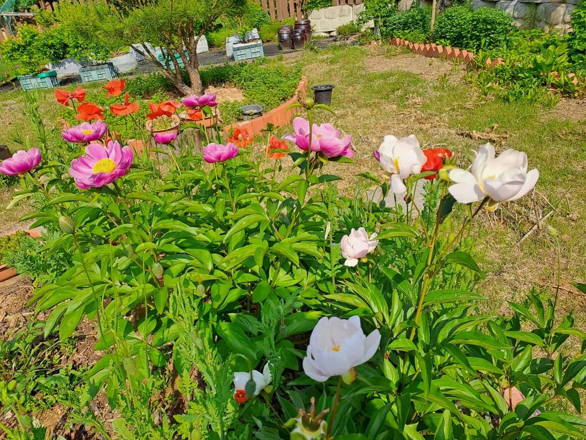 고대항곡요양센터 이미지 6