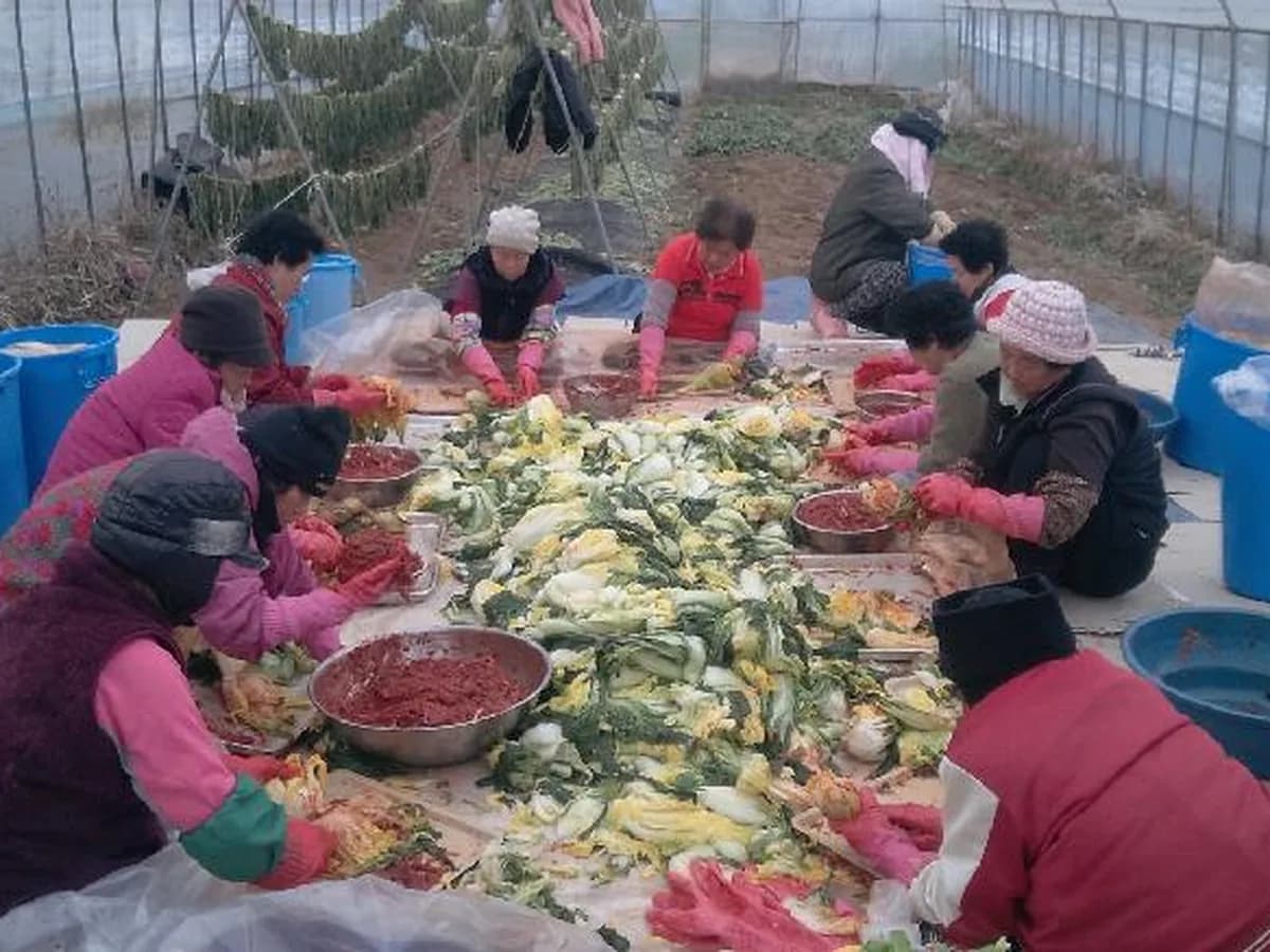 인삼골건강마을재가복지센터 이미지 4