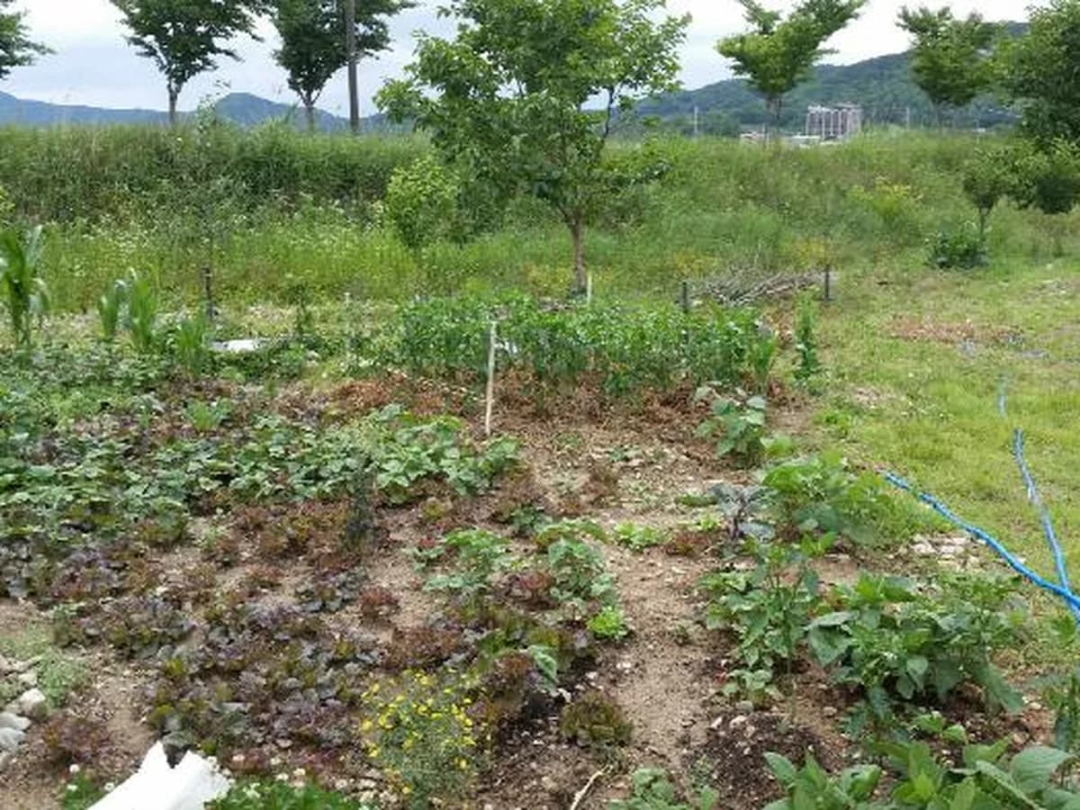 효자복지센터 이미지 7