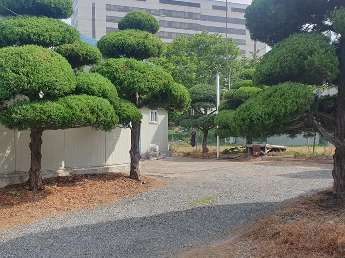 사람사랑재가노인복지센터 이미지 7