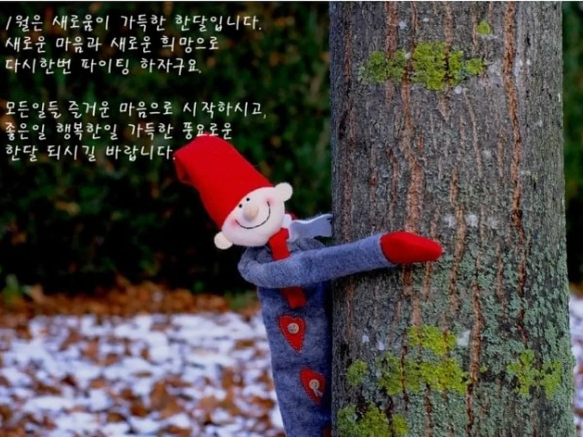노아의집 이미지 7