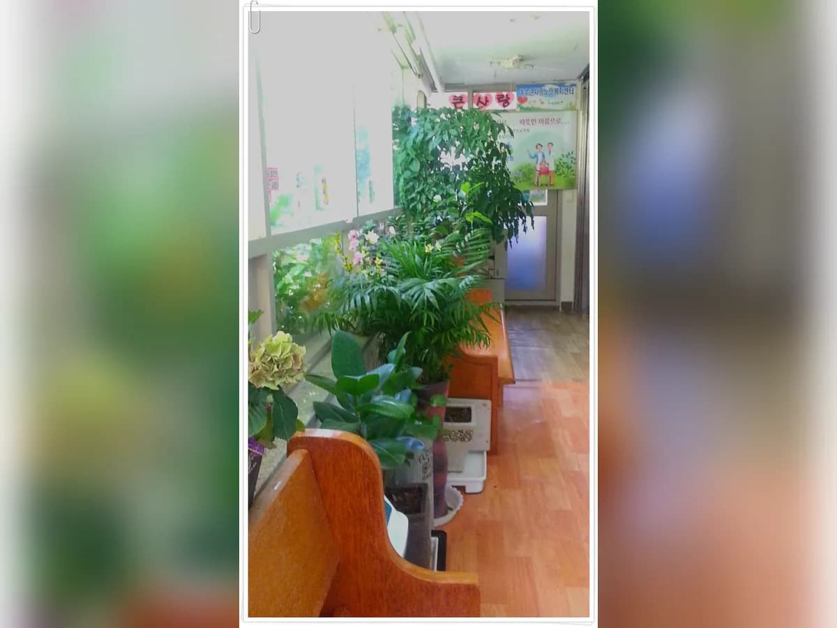 여수큰사랑노인복지센터 이미지 2