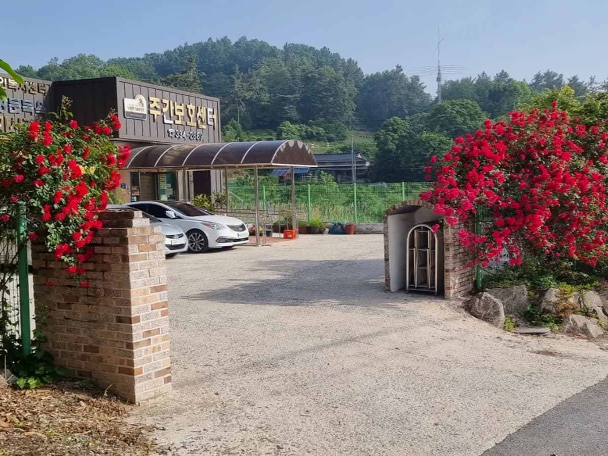 반야노인복지센터 이미지 4