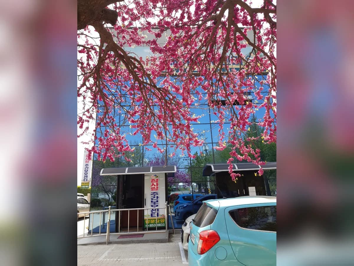 참사랑재가복지센터 이미지 1