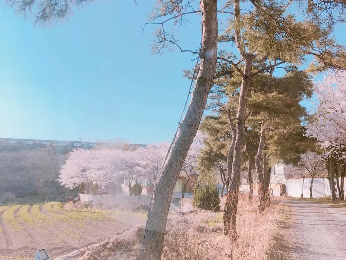 제일재가장기요양기관 이미지 1