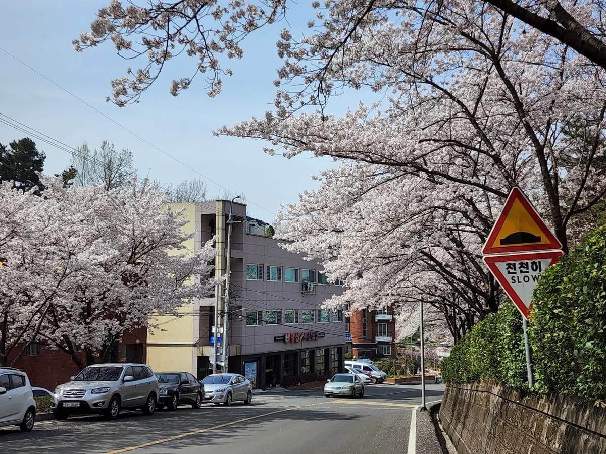경산시니어재가장기요양기관 이미지 2