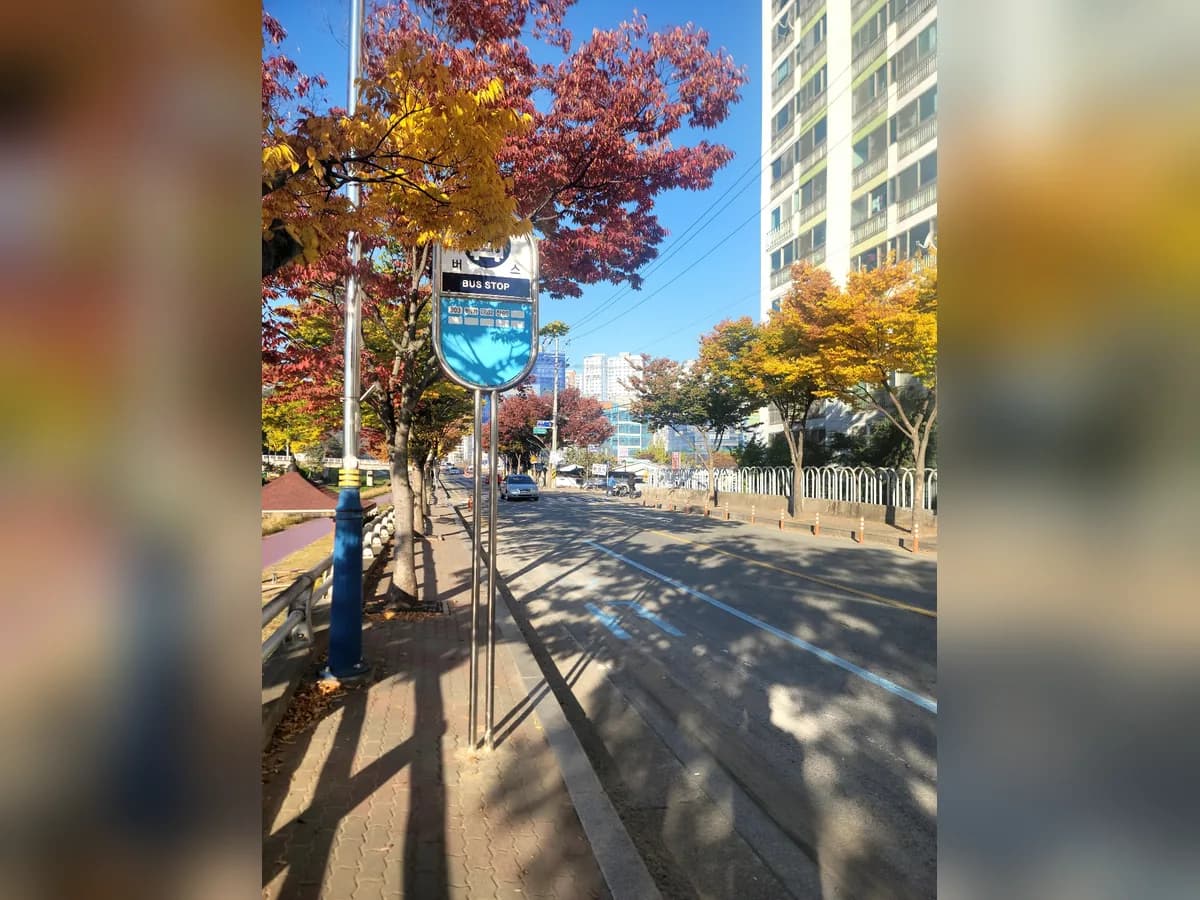 경산노인사랑메디칼 이미지 3