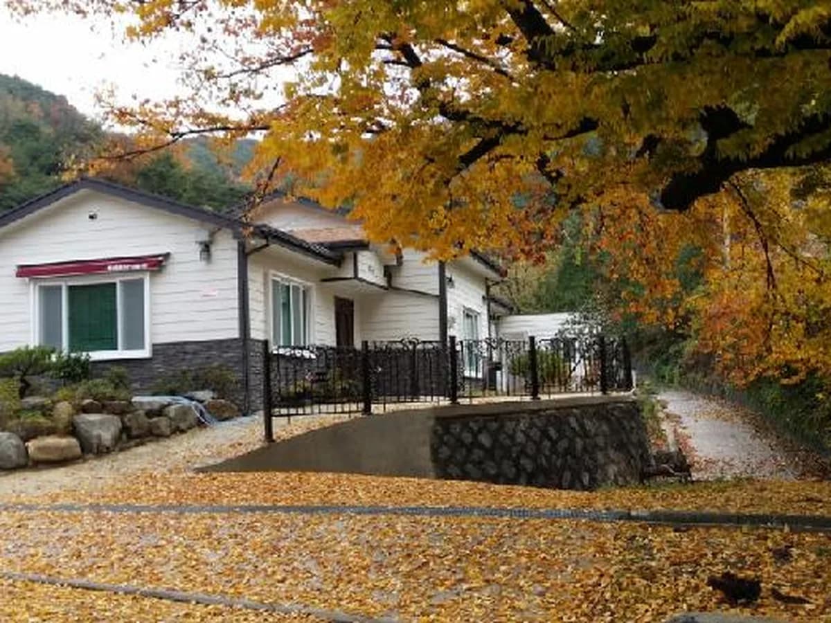 효사랑재가장기요양기관 이미지 2