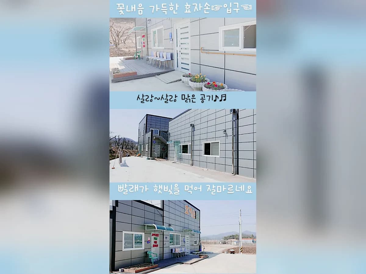 효자손노인복지센터 이미지 7