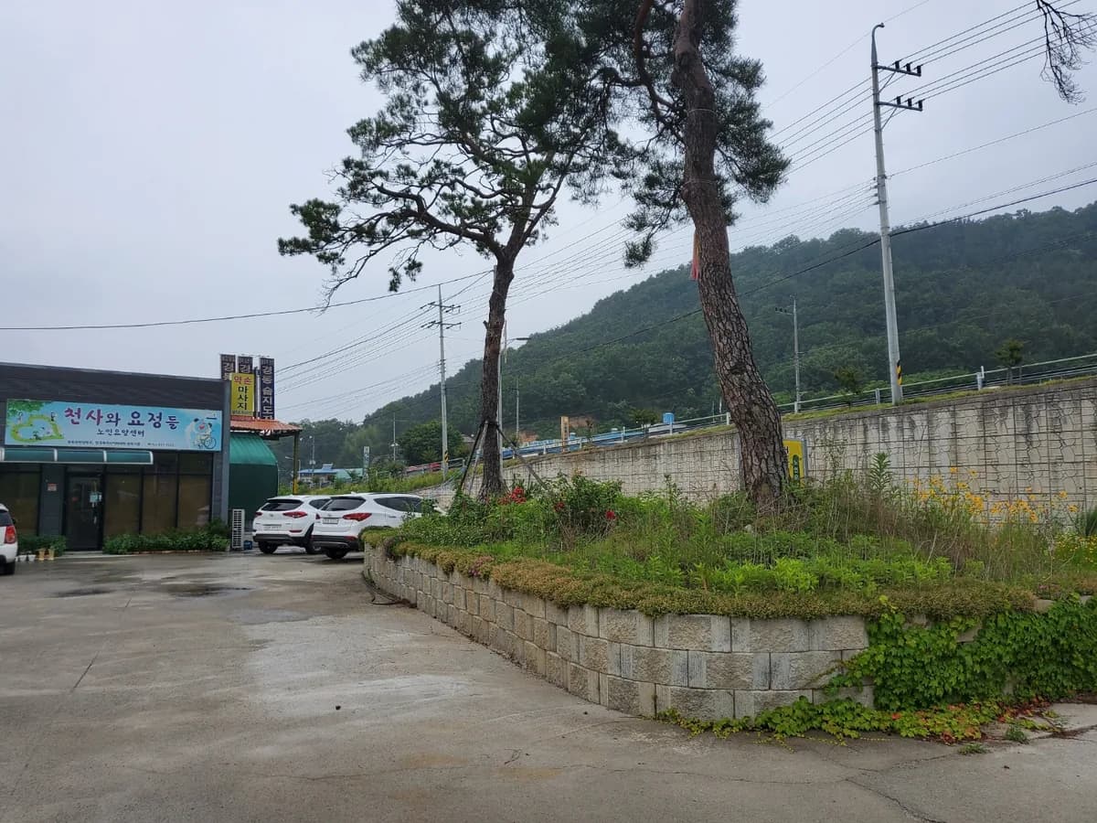 성주 천사와요정들 노인복지센터 이미지 2