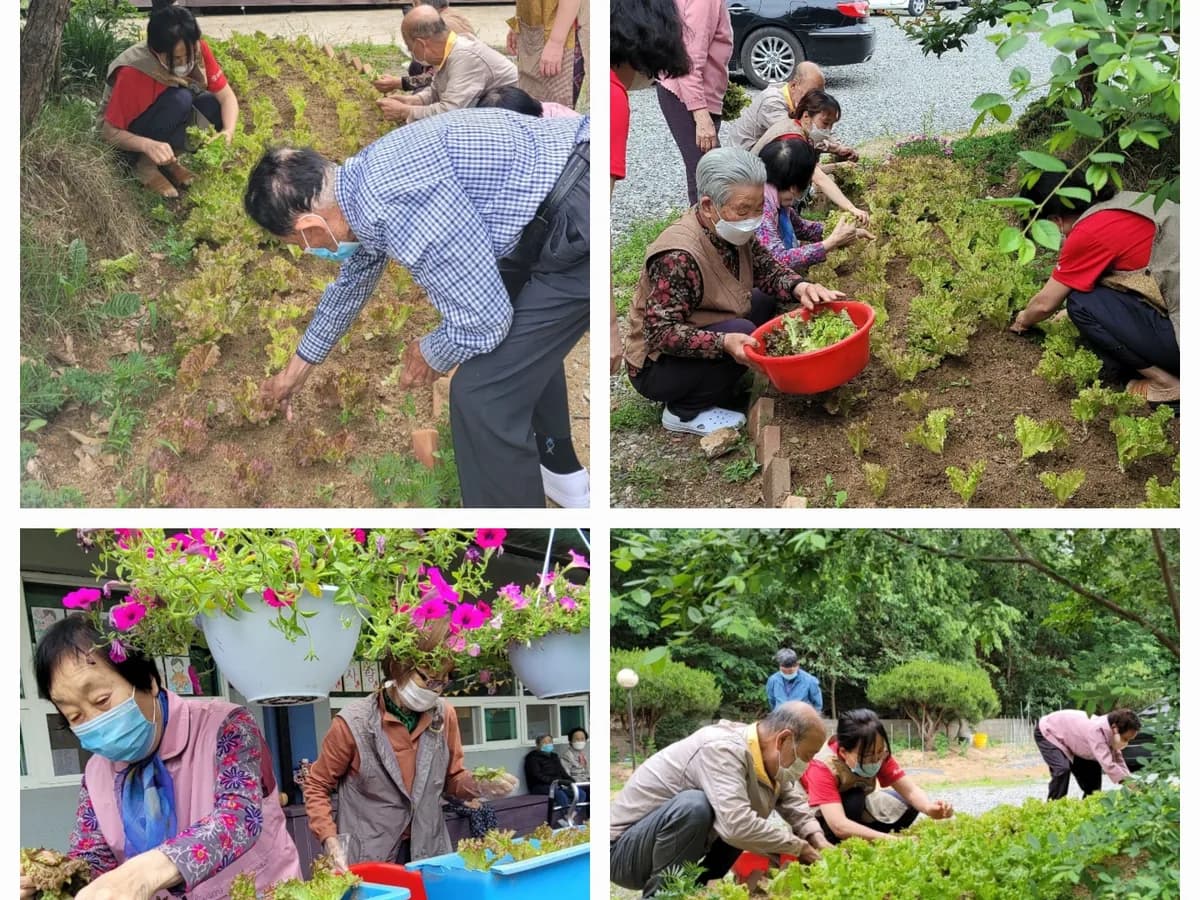 효마실재가노인주야간보호전문센터 이미지 2