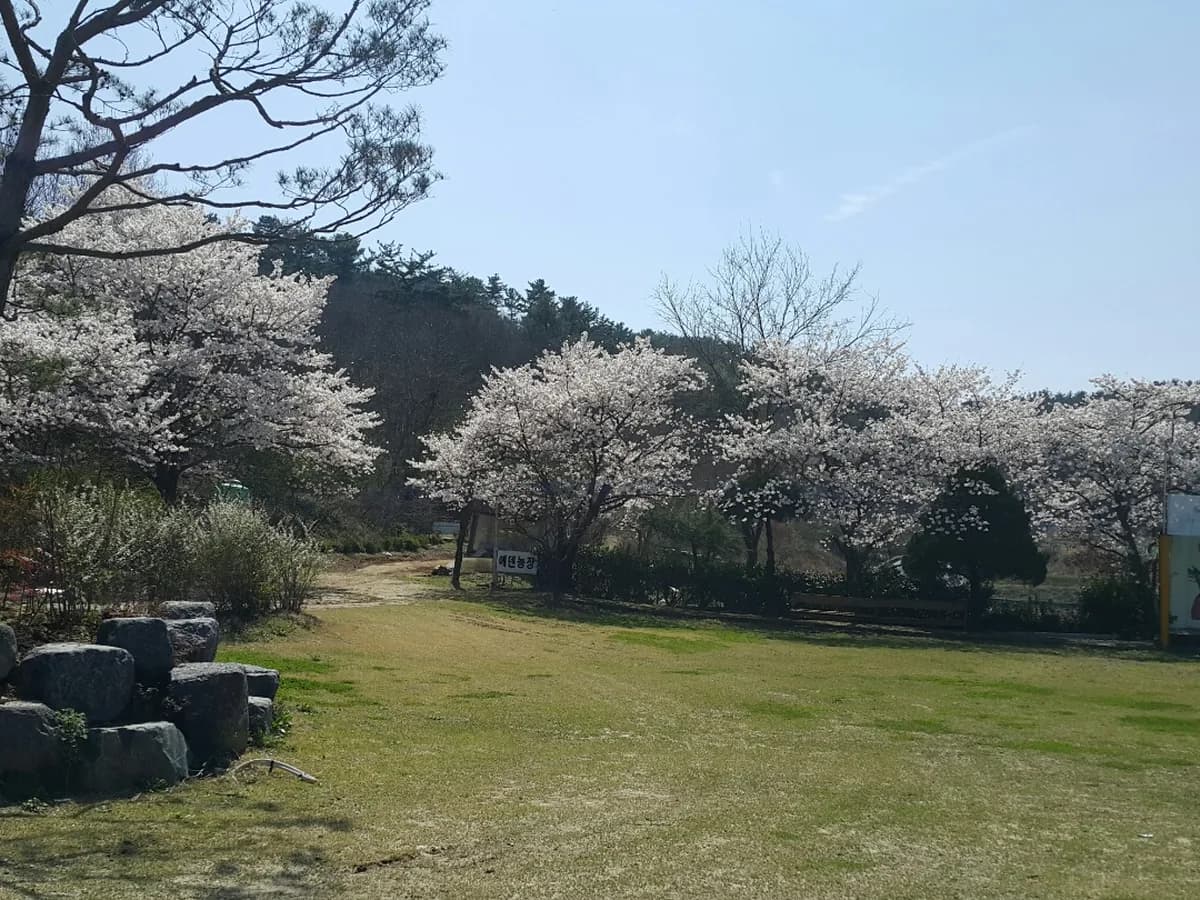 남가람복지센터 이미지 3