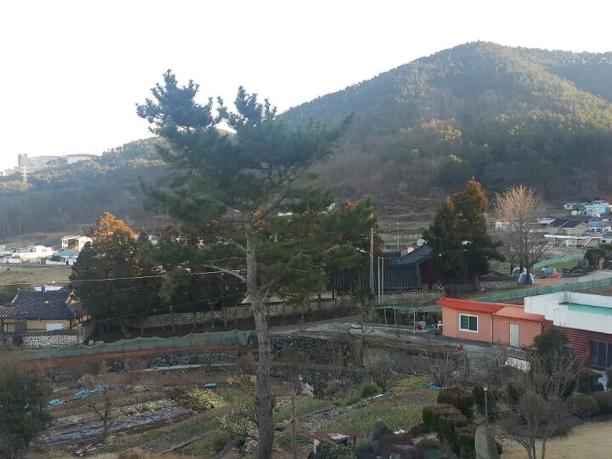 성민노인주간보호센터 이미지 3