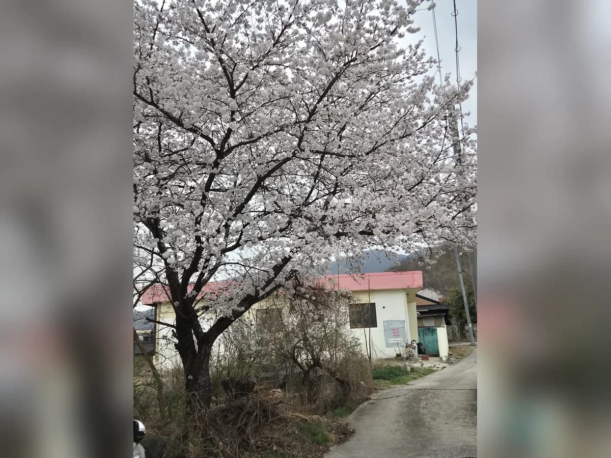 글라라재가복지센터 이미지 3