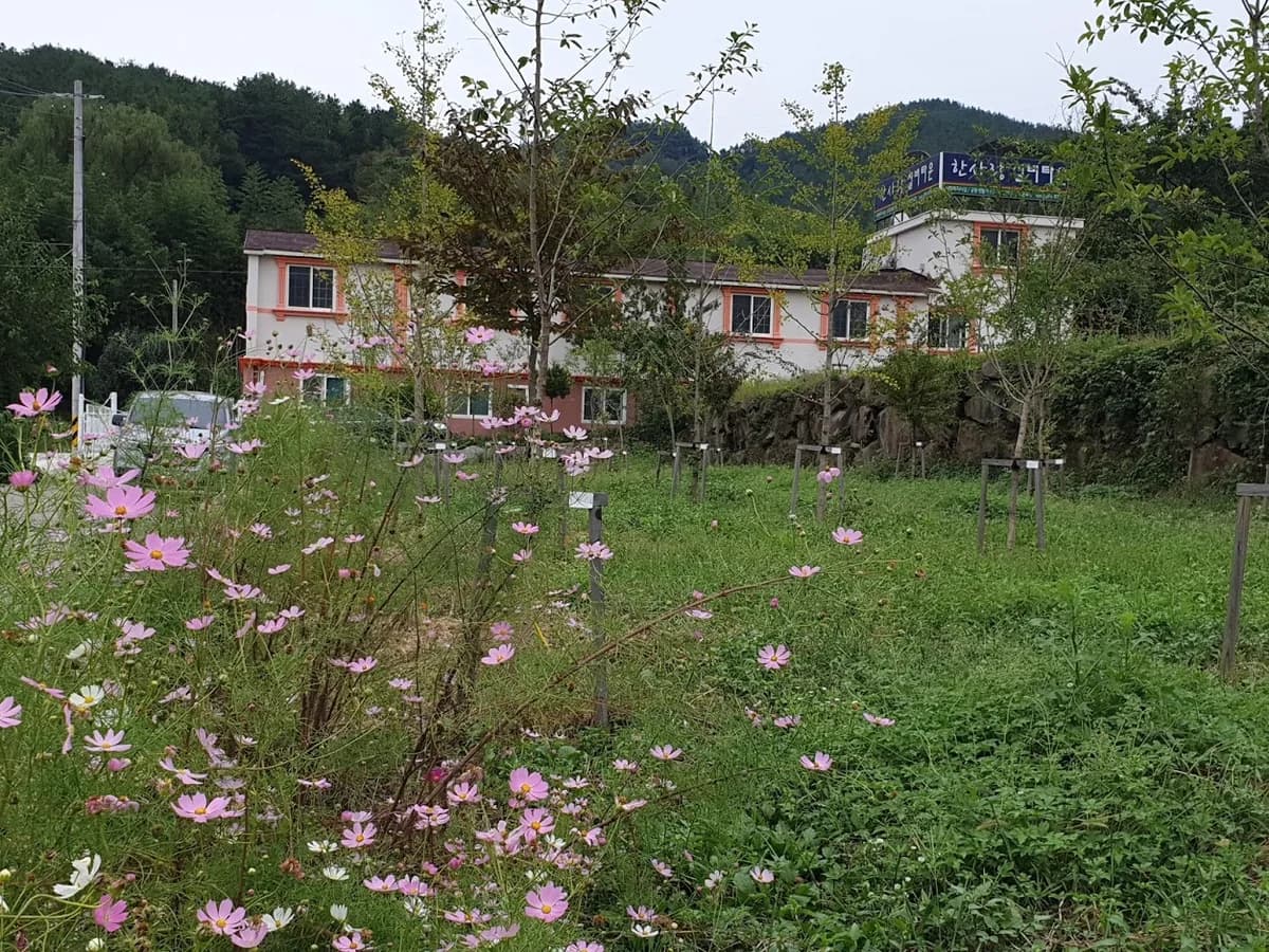 한사랑노인복지센터 이미지 1