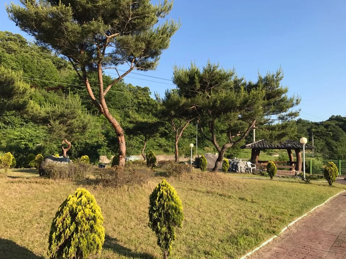 세진노인복지센터 이미지 2