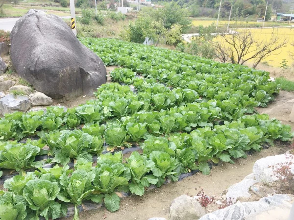 세진노인복지센터 이미지 5