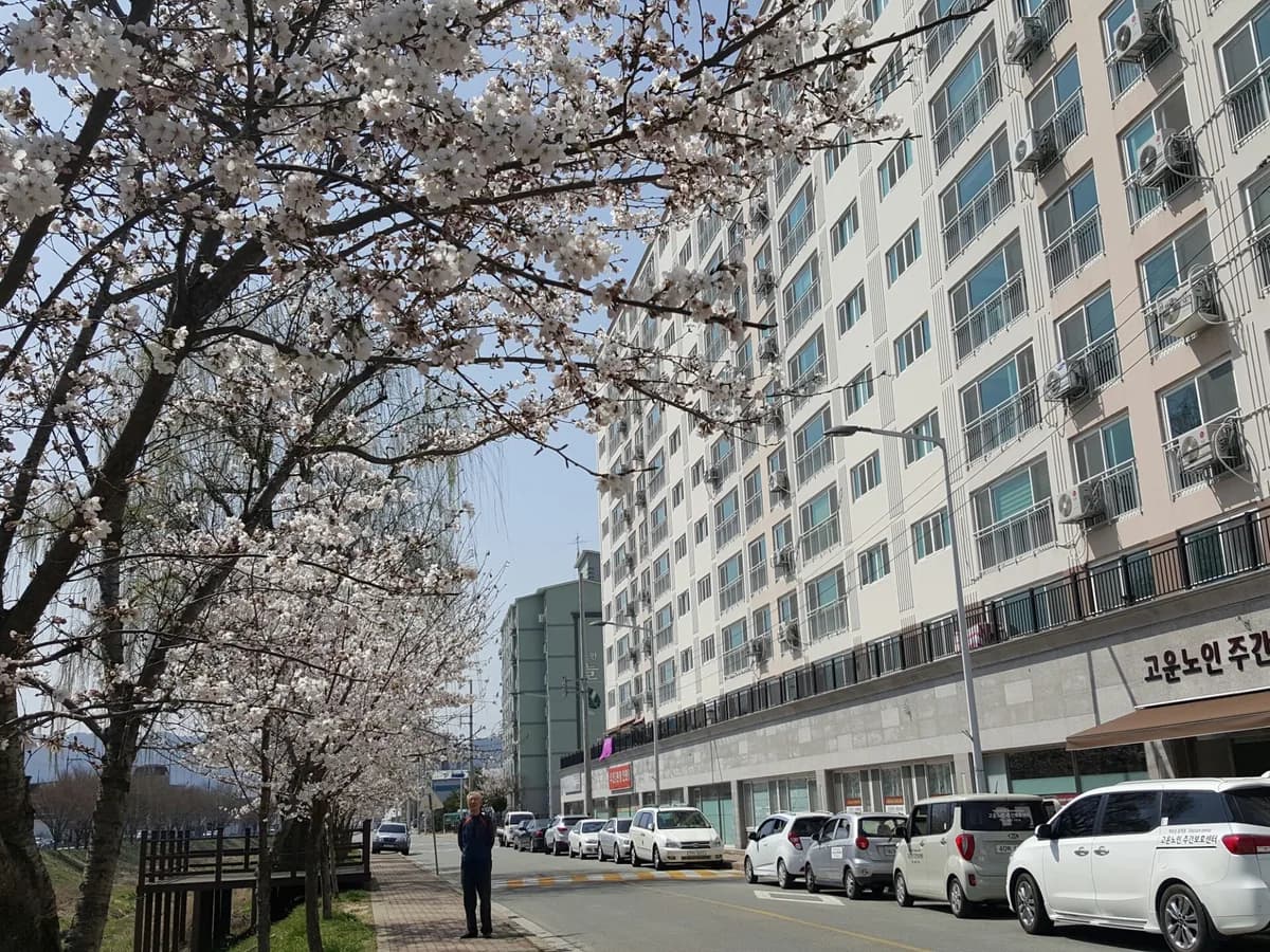 고운노인주간보호센터 이미지 2