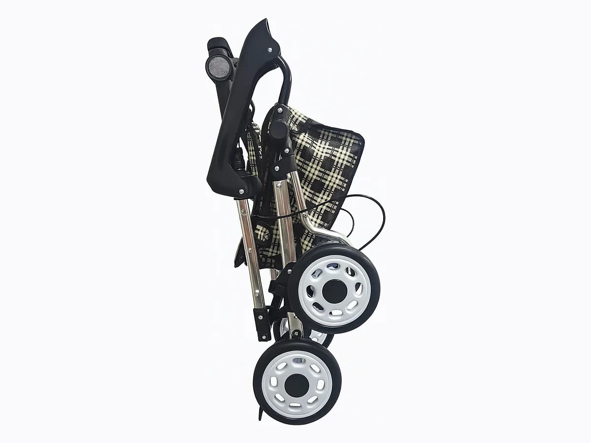 DBW-1 이미지 5
