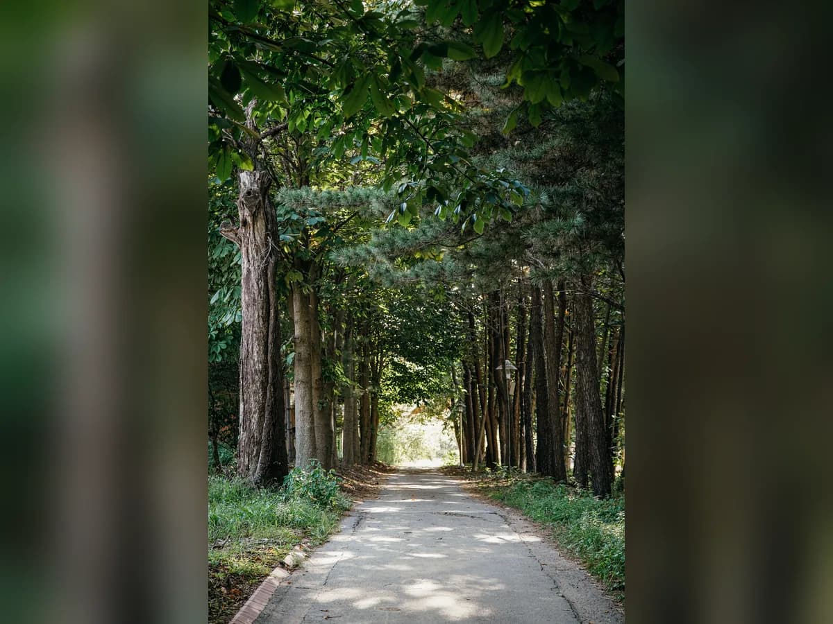근로복지공단 경기요양병원 이미지 2