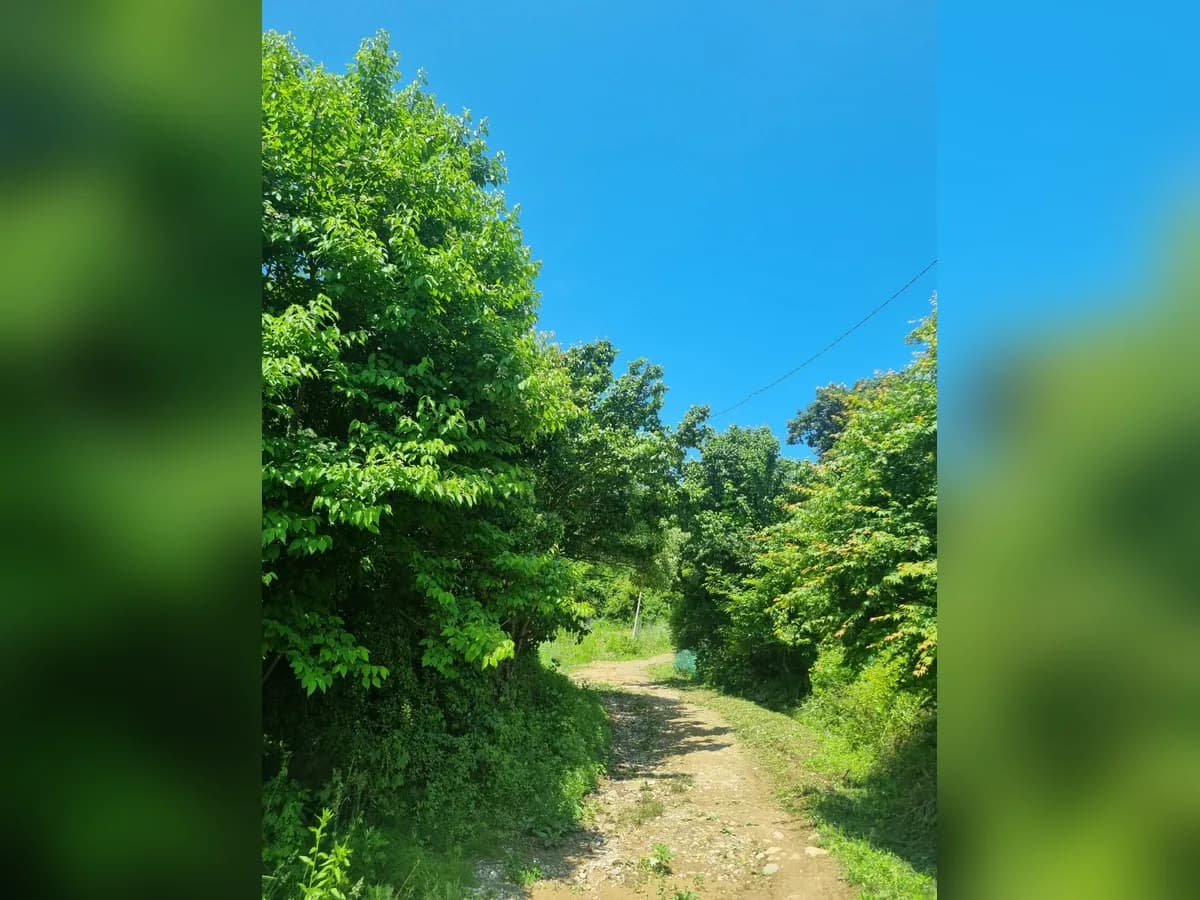 생생우리누리요양병원 이미지 7
