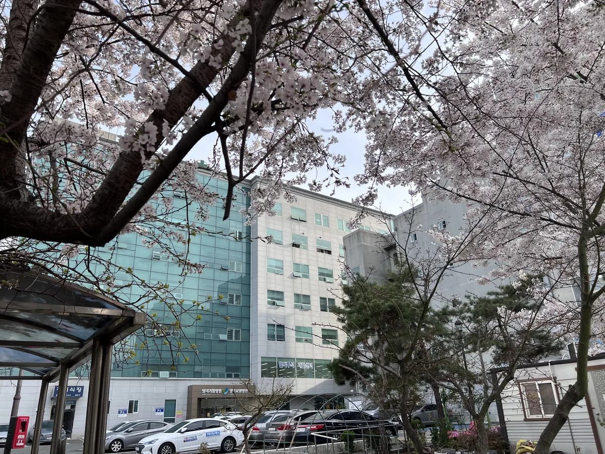 의료법인양지의료재단양지요양병원 이미지 2