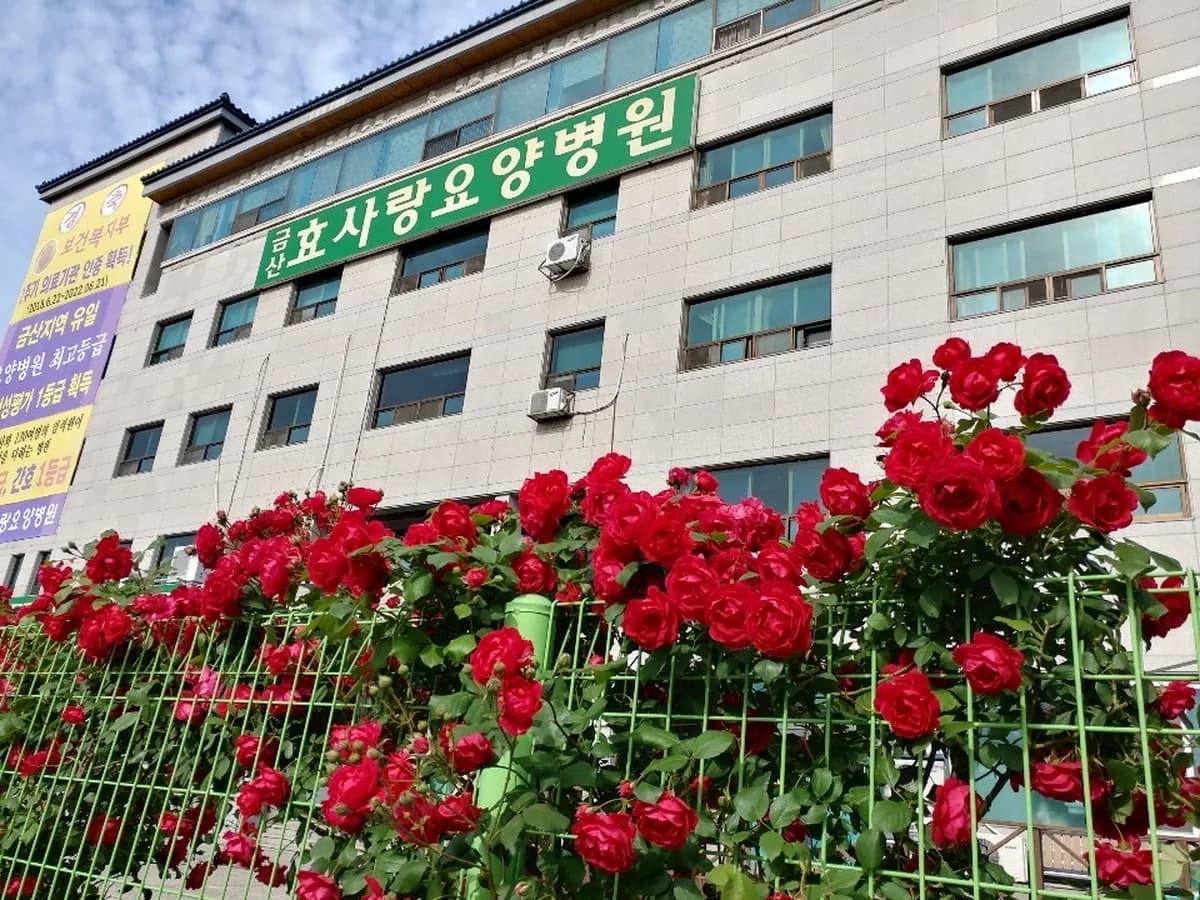 금산효사랑요양병원 이미지 4