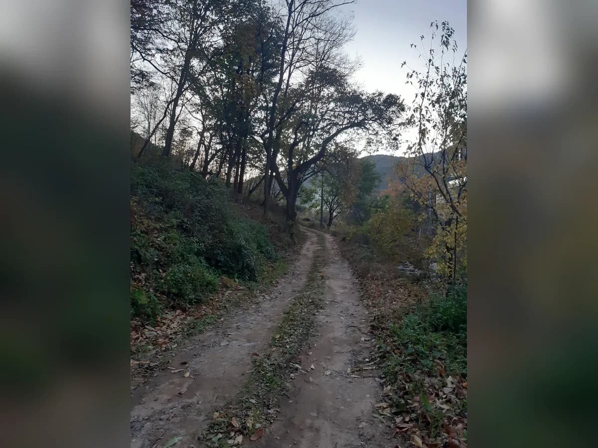 의료법인 채움의료재단 약손요양병원 이미지 3