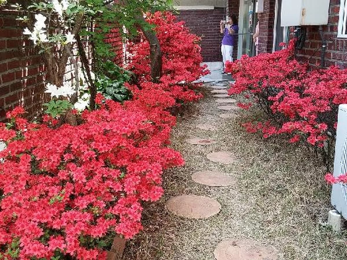 녹번실버 이미지 1