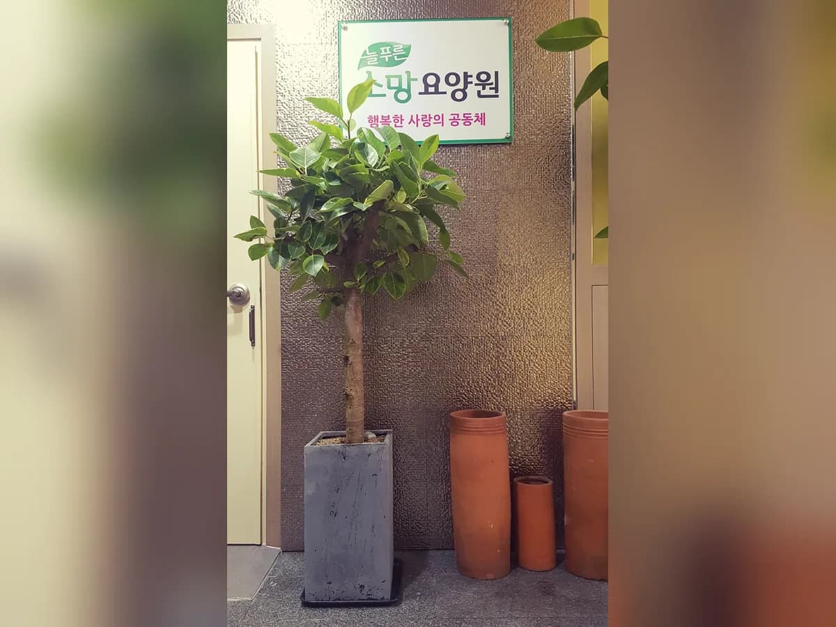 늘푸른 소망요양원 이미지 1