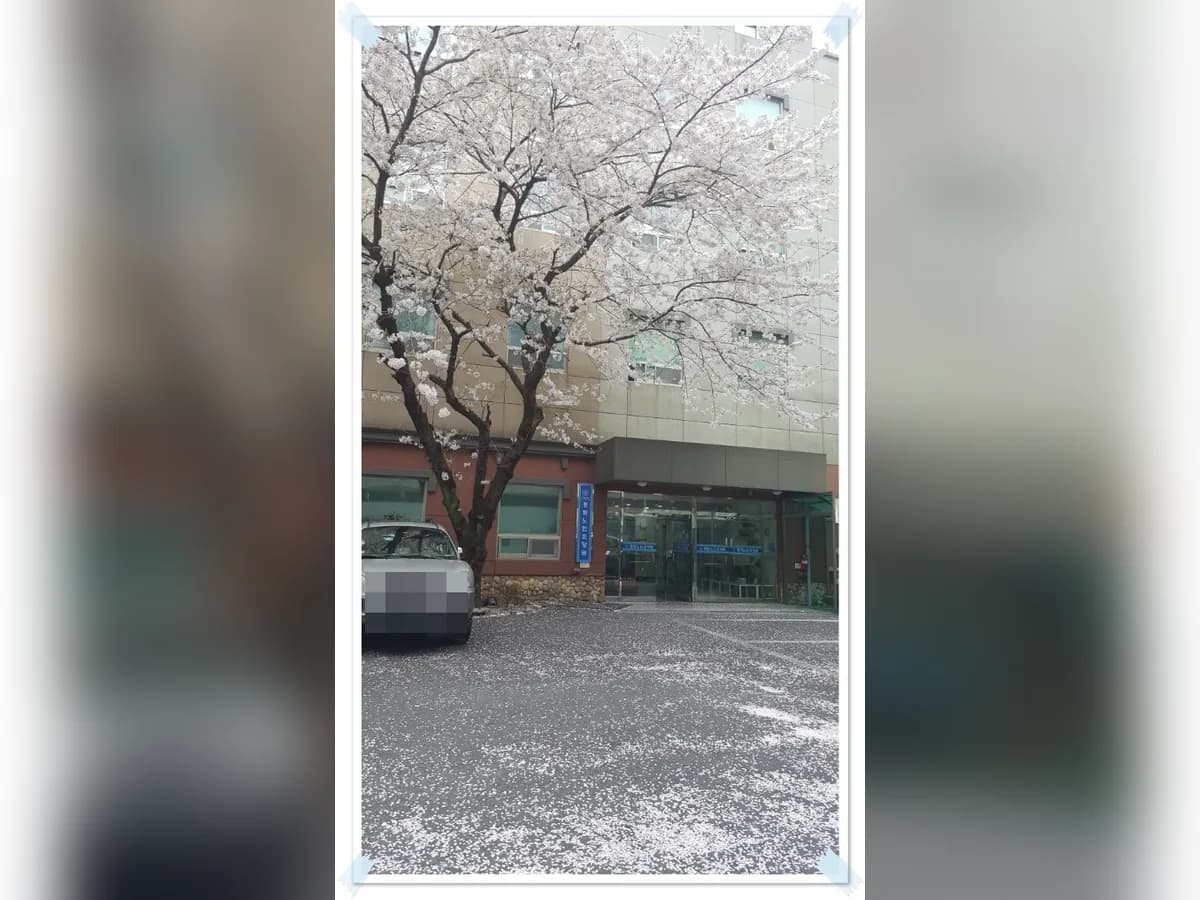 평화노인요양원 이미지 3