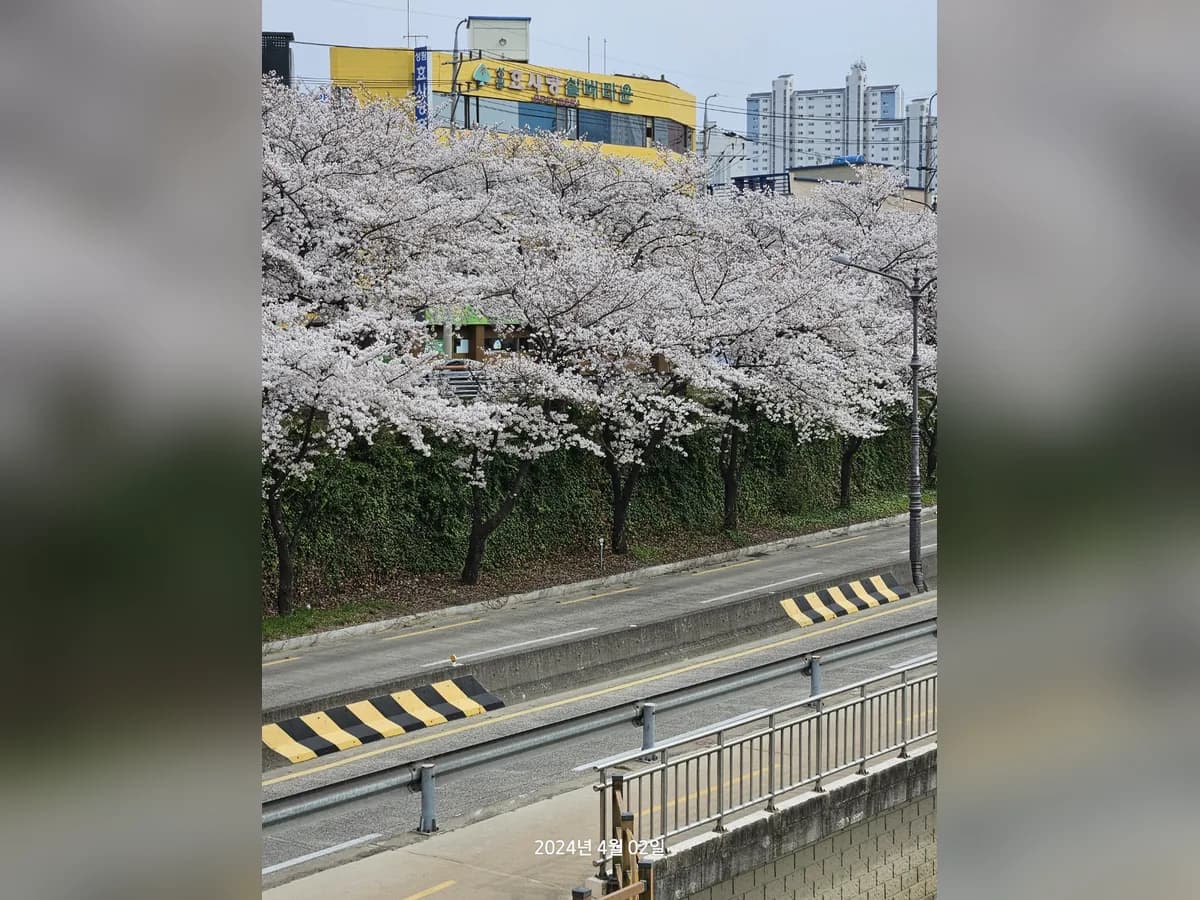 성림효사랑실버타운 이미지 3