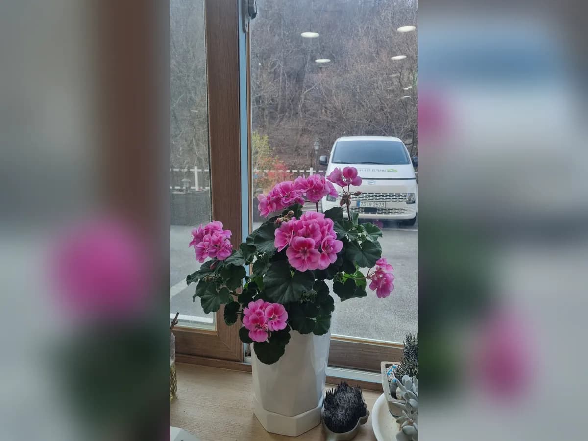 더나은요양원 이미지 2