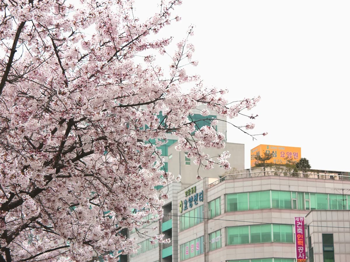 모심과돌봄노인요양시설 이미지 1
