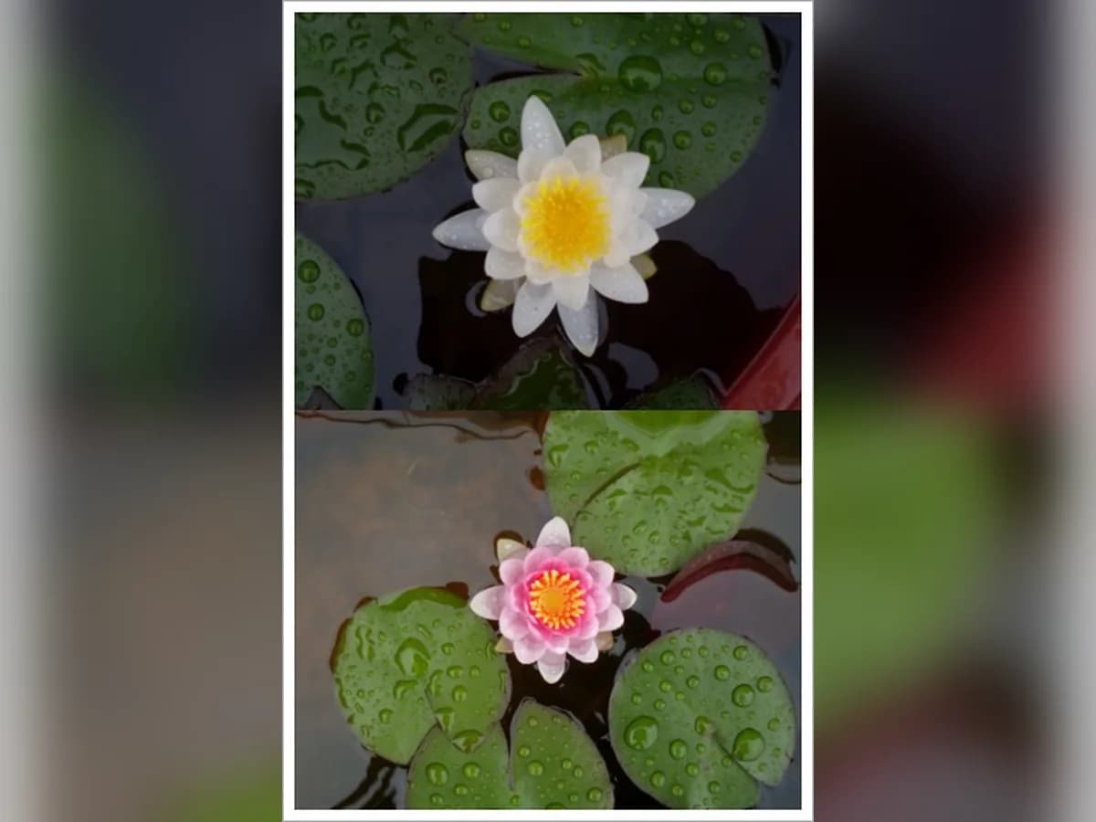 첨단원광실버홈 이미지 3