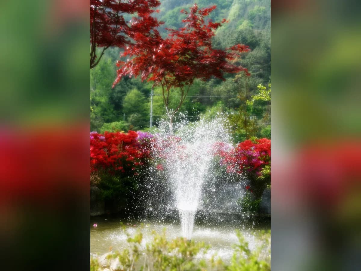 선우치매센타 이미지 6